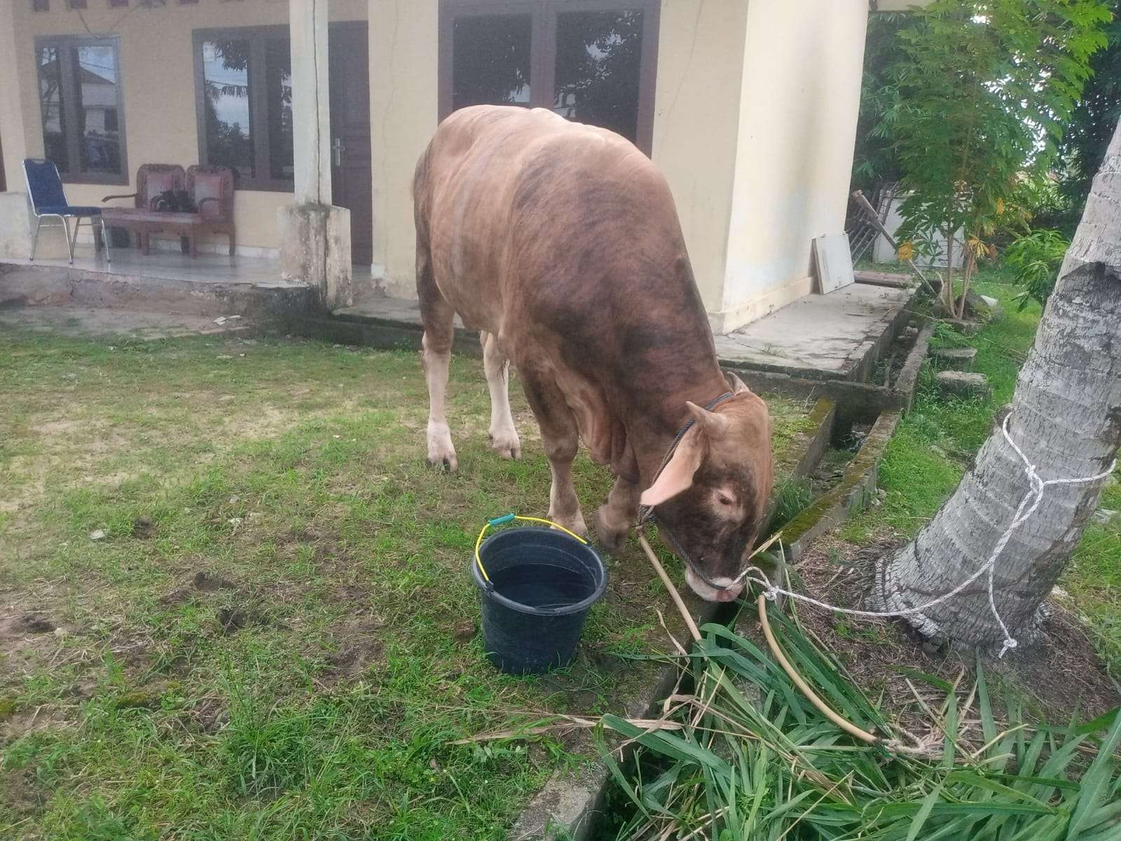 Selamat Hari Raya Idul Adha